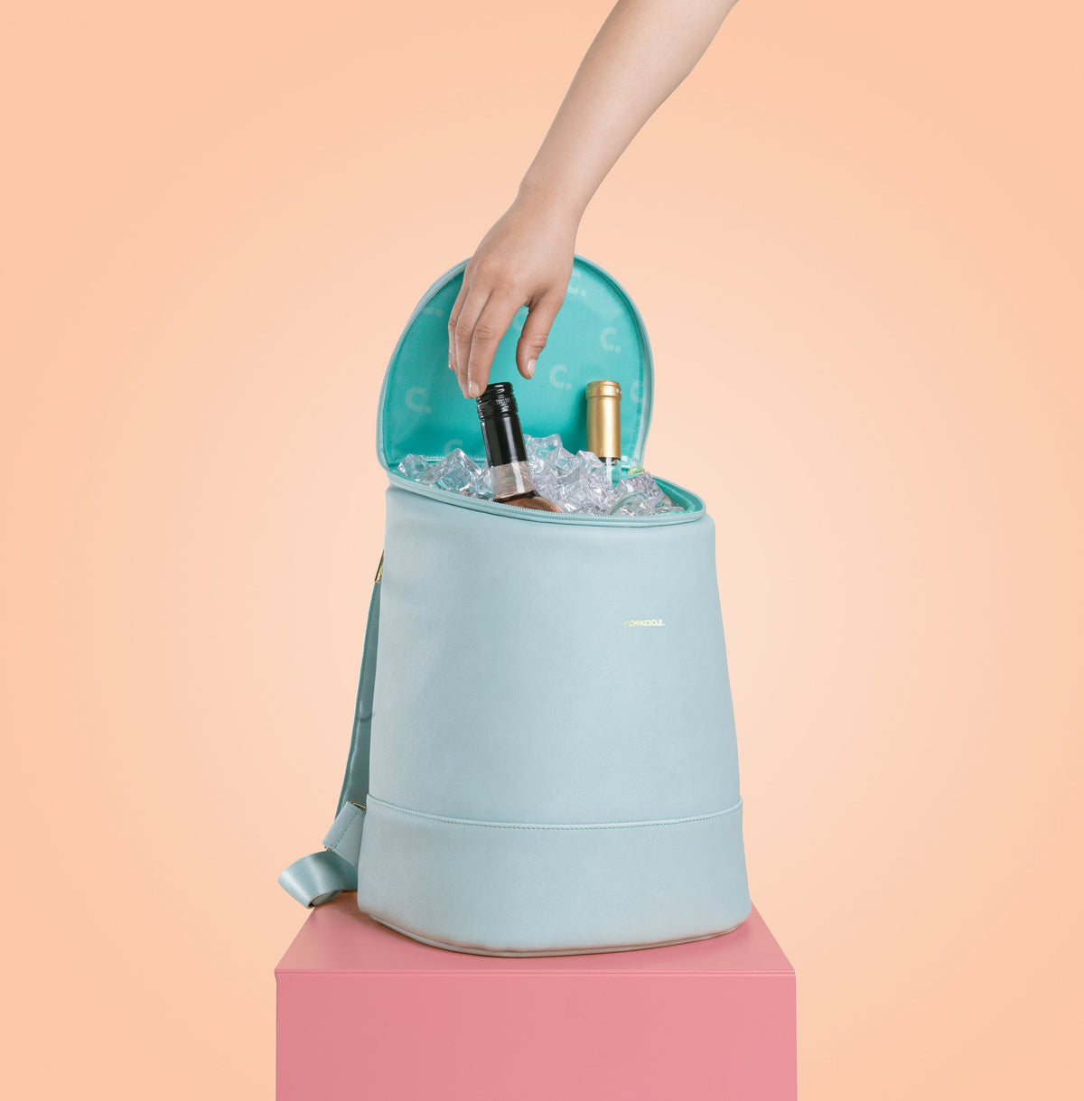 eola-bucket-cooler-bag-v5 a405954e83cf--EOLA-Bucket-copy.jpg